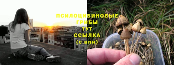 мет Гусь-Хрустальный