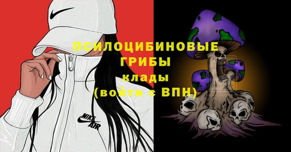 дживик Гусев