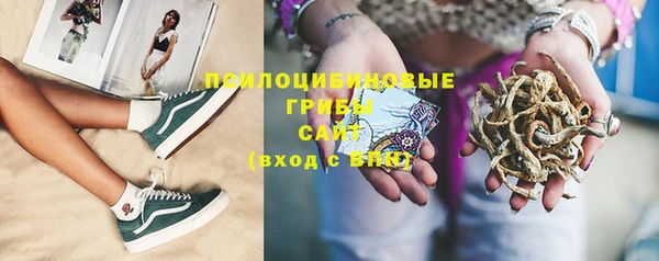 ешки Дмитровск