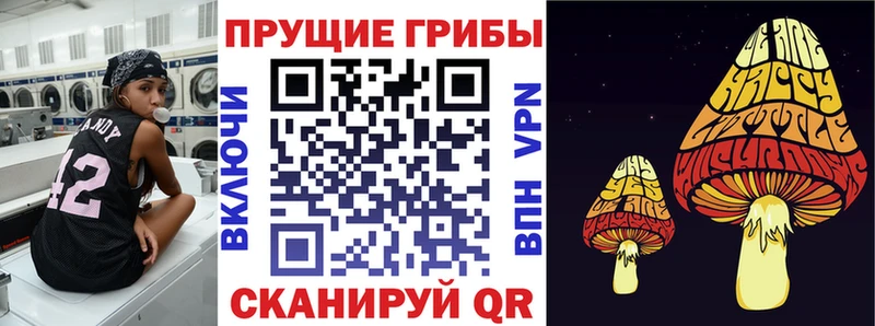 Купить закладки  Светогорск  Псилоцибиновые грибы ЛСД 