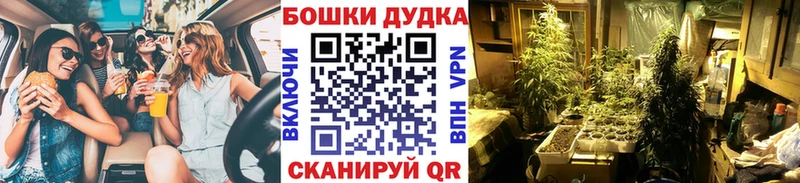 МАРИХУАНА Amnesia Купить где Светогорск